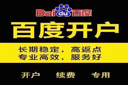 SEM搜索引擎优化：广告创意的策划与执行